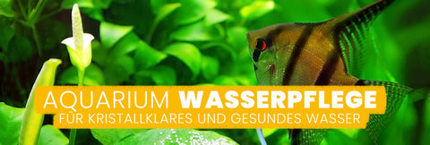 AQUAbasics Aquarium Wasserpflege für dein Aquarium