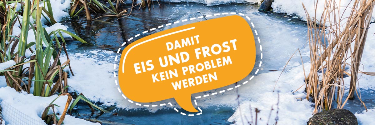Gartenteich: Wenn der Frost zum Problem wird
