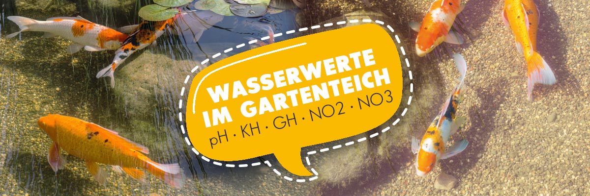Die wichtigsten Wasserwerte im Gartenteich: pH, KH, GH, NO2 & NO3