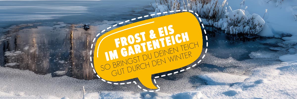 Gartenteich: Wenn der Frost zum Problem wird