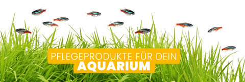 AQUARIUM