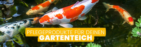 GARTENTEICH
