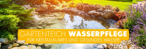 Wasserpflege