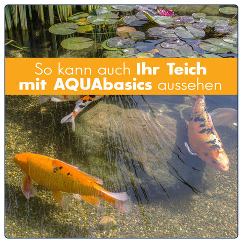 AQUAbasics 4er Teichpflege Komplett-Set