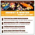 AQUAbasics 4er Teichpflege Komplett-Set "Herbst & Winter"