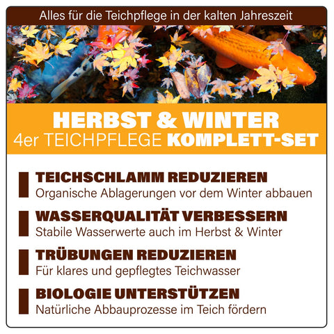AQUAbasics 4er Teichpflege Komplett-Set "Herbst & Winter"