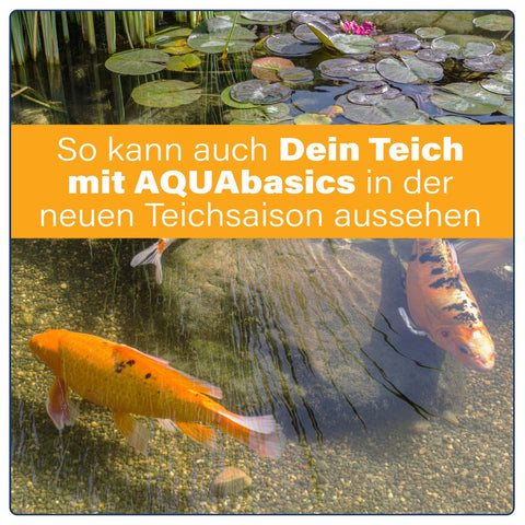 AQUAbasics 4er Teichpflege Komplett-Set "Herbst & Winter"