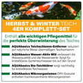 AQUAbasics 4er Teichpflege Komplett-Set "Herbst & Winter"