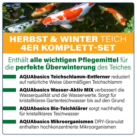 AQUAbasics 4er Teichpflege Komplett-Set "Herbst & Winter"