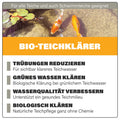 AQUAbasics Gartenteich BIO-Teichklärer