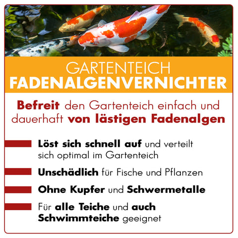 AQUAbasics Gartenteich Fadenalgenvernichter FLÜSSIG