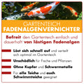 AQUAbasics Gartenteich Fadenalgenvernichter FLÜSSIG