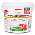 AQUAbasics Gartenteich Fadenalgenvernichter POWER-GRANULAT