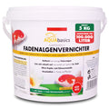 AQUAbasics Gartenteich Fadenalgenvernichter POWER-GRANULAT