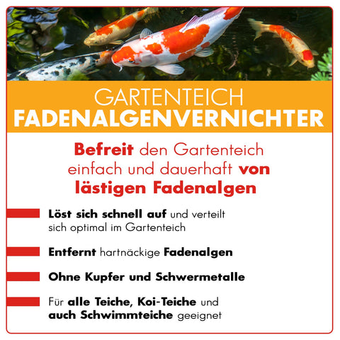 AQUAbasics Gartenteich Fadenalgenvernichter POWER-GRANULAT
