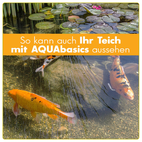 AQUAbasics Gartenteich KH-PLUS Stabilisator