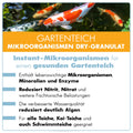 AQUAbasics Gartenteich Mikroorganismen DRY-Granulat