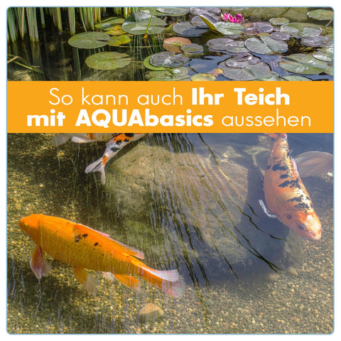 AQUAbasics Gartenteich Mikroorganismen DRY-Granulat