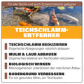 AQUAbasics Gartenteich Teichschlamm-Entferner
