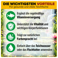 AQUAbasics Gartenteich Vitamin-MIX