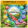 AQUAbasics Gartenteich Vitamin-MIX