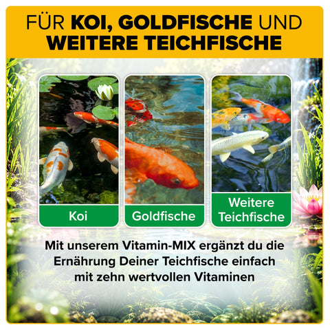 AQUAbasics Gartenteich Vitamin-MIX