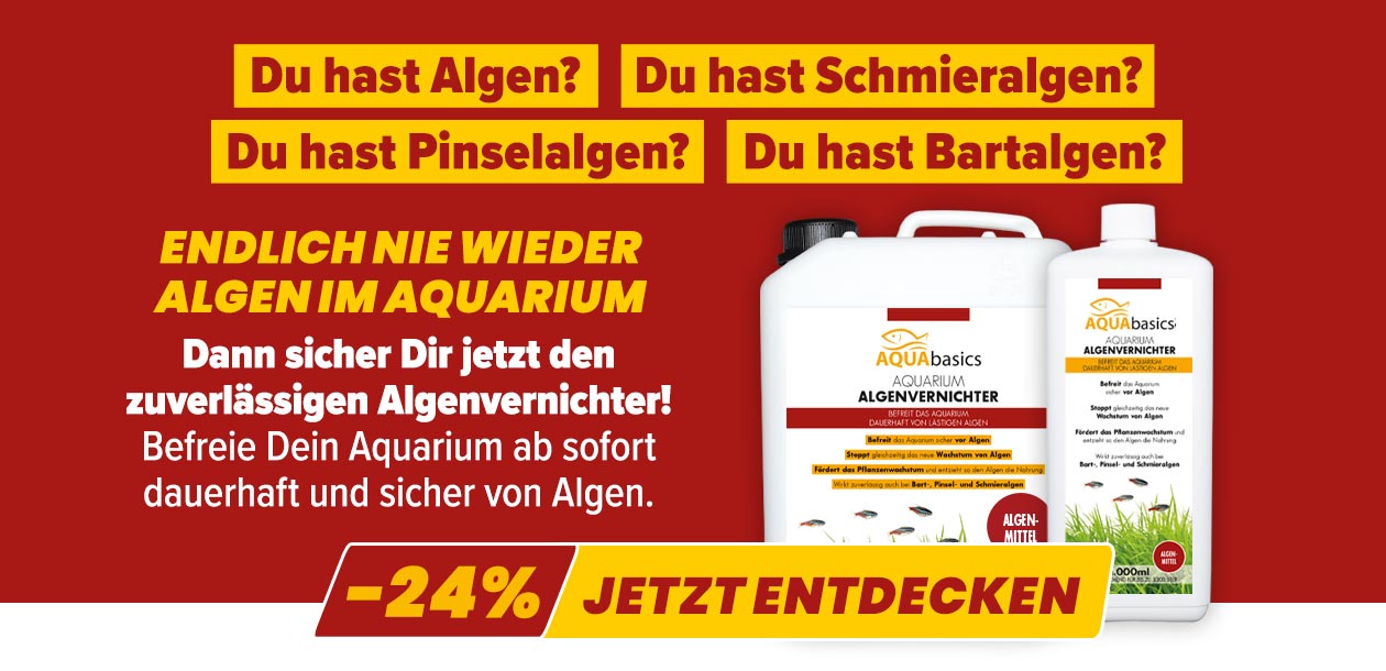 AQUAbasics Aquarium Algenvernichter