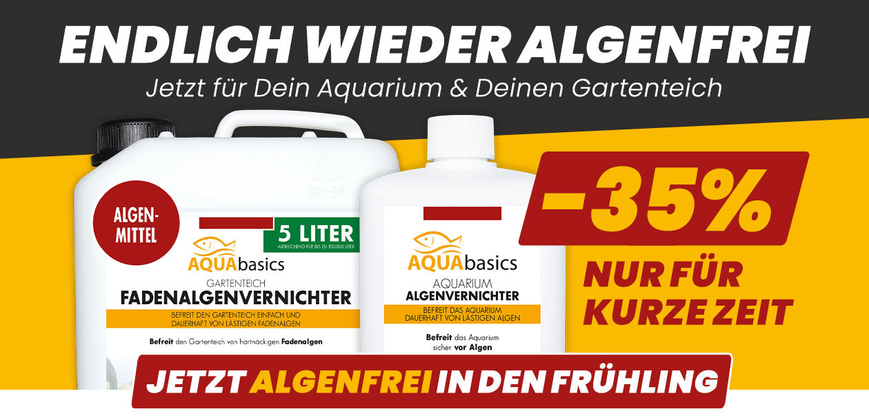 AQUAbasics Algenvernichter für dein Aquarium und deinen Gartenteich
