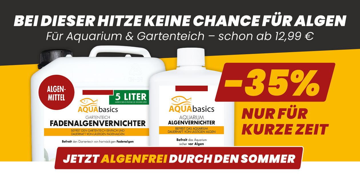 AQUAbasics - Bei dieser Hitze keine Chance für Algen – jetzt bis zu 35 % Rabatt auf Algenvernichter für Aquarium und Gartenteich sichern