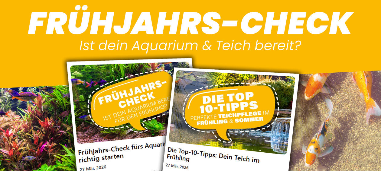 Frühjahrs-Check für dein Aquarium & Gartenteich