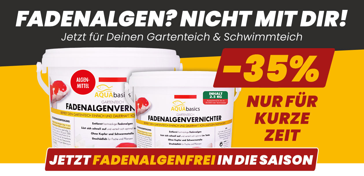 AQUAbasics Fadenalgenvernichter POWER-GRANULAT für deinen Gartenteich