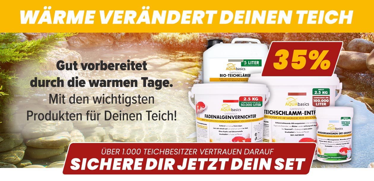 AQUAbasics Frühling & Sommer Sparset für den Gartenteich