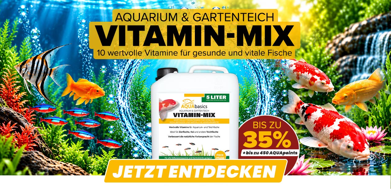 AQUAbasics Vitamin-MIX für dein Aquarium und deinen Gartenteich