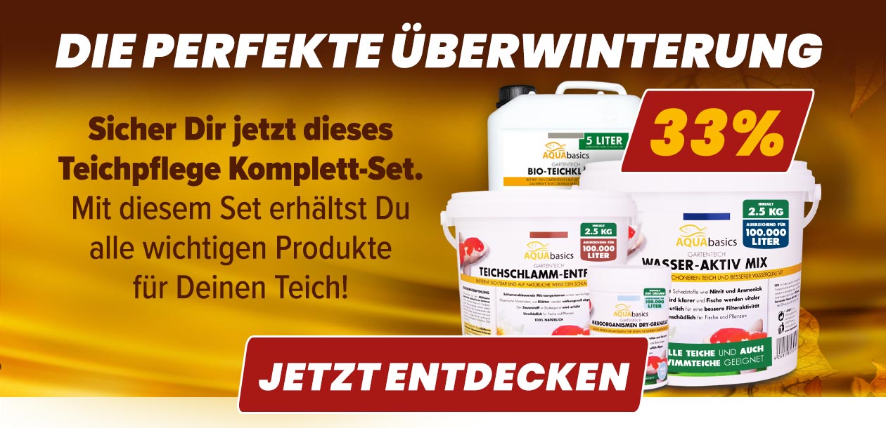 AQUAbasics 4er "Herbst & Winter" Teichpflege Komplett-Set
