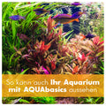 AQUAbasics Aquarium 3er Starter- & Pflege-Sparset