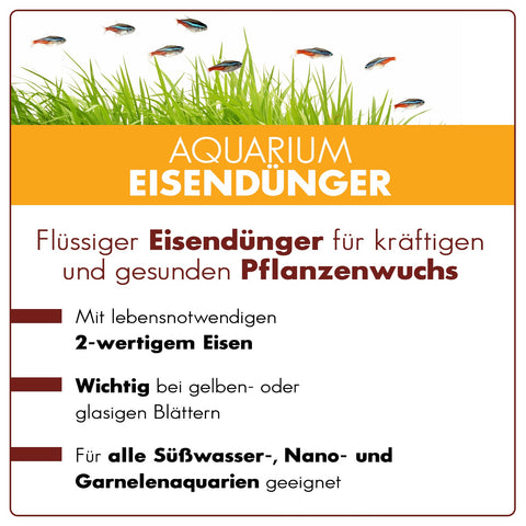 aquabasics Aquarium Eisendünger